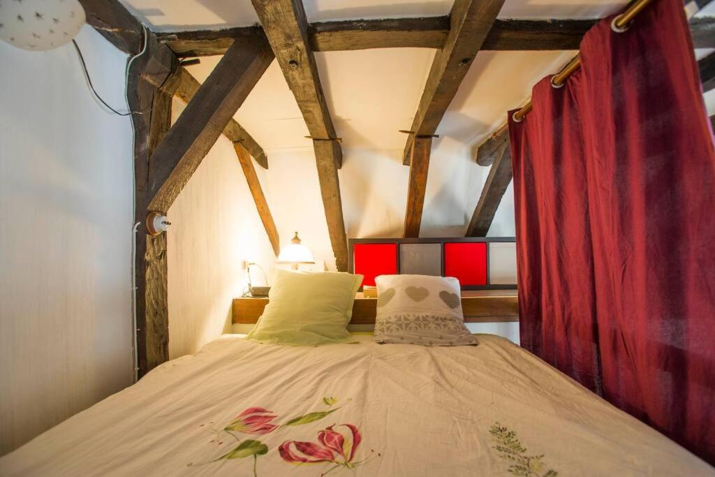 Appartement De Caractere Au Coeur Du Vieux 图尔 外观 照片